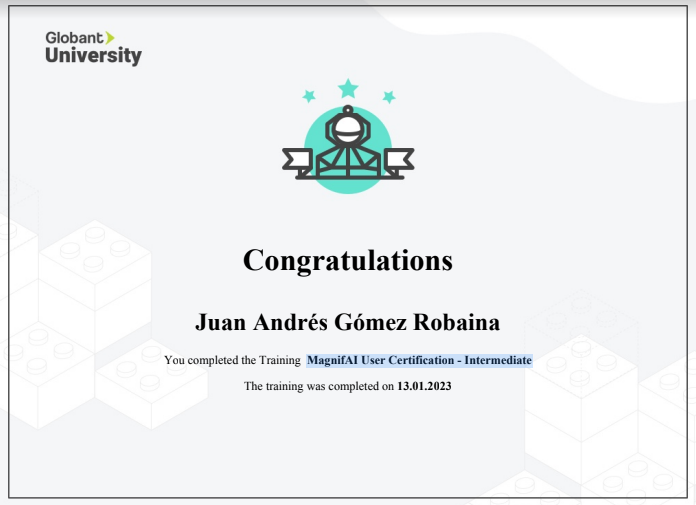MagnifAI User Certification - Intermediate